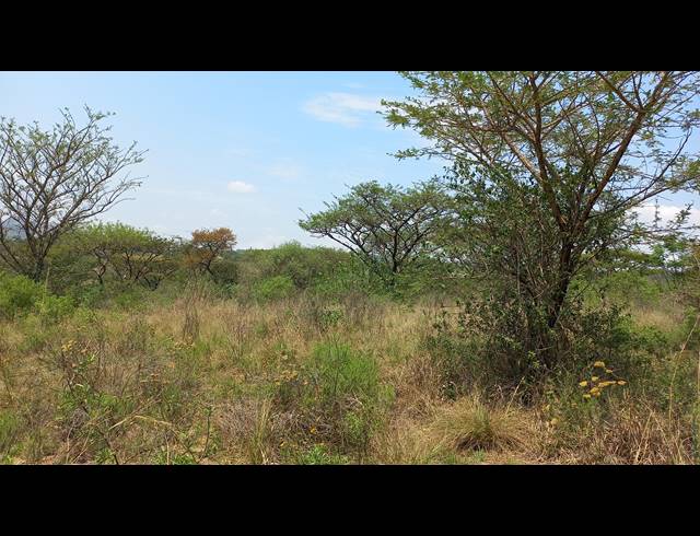 1HA SMALLHOLDING FOR SALE IN NELSPRUIT RURAL